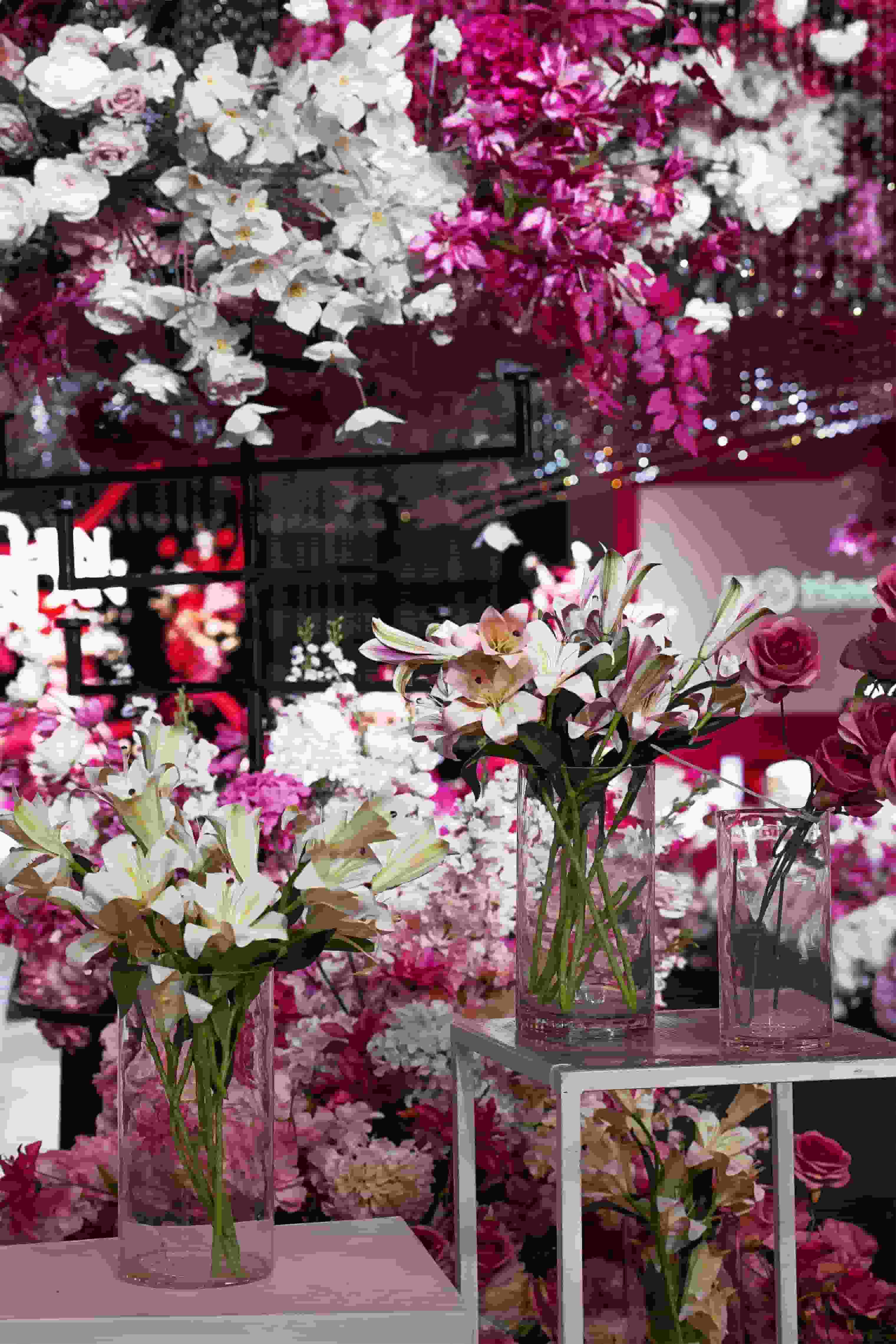 Rolex Hall《Rose red gravity》